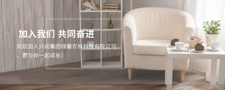 加入我们