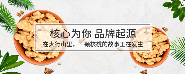 品牌起源